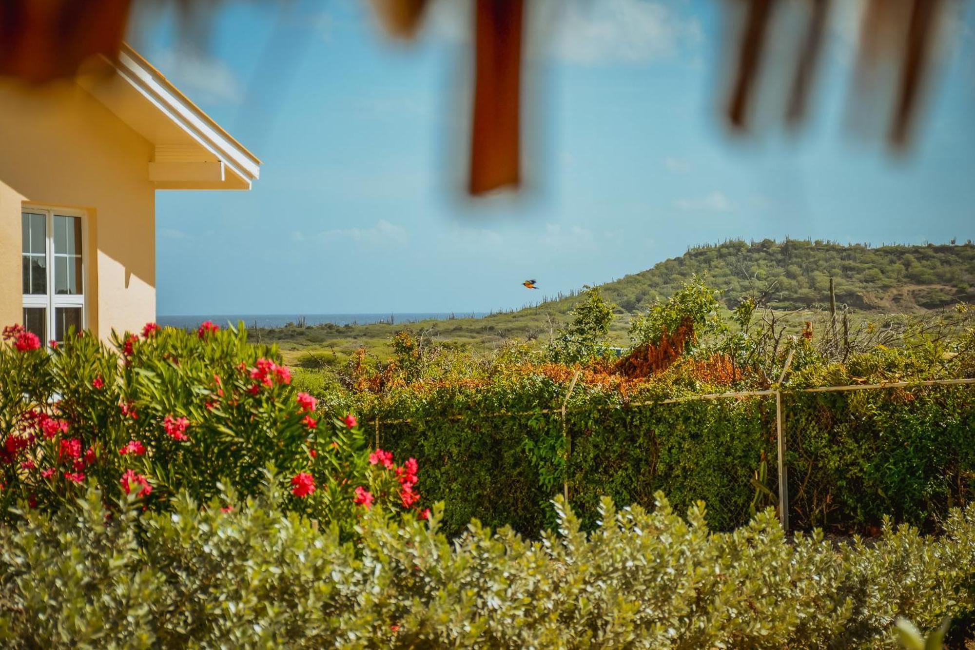 Santa Catharina Resort - Casa Samson ウィレムスタッド エクステリア 写真